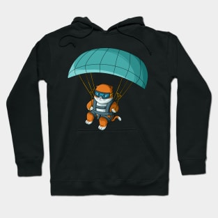 Paragliding cat Hoodie